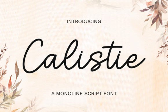Calistie: A Graceful Script Font for Boutique Branding