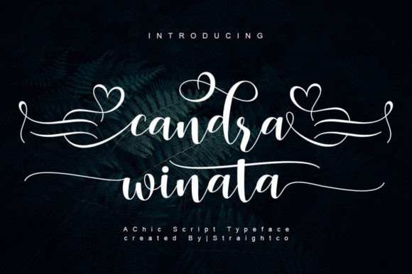 Candra Winata: A Script Handwritten Font That Makes Campaigns Feel Human
