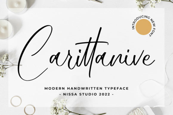 Carittanive Font: A Modern Script Handwritten Typeface for Real Branding