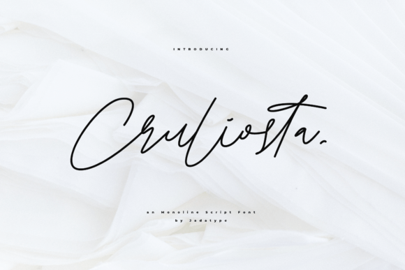 Cruliosta: A Stylish & Dainty Script Handwritten Font for Makers