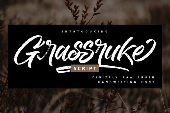 Grassruke: A Bold Brush Script Font for Modern Web Design